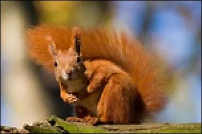 HPI rencontre un vif succ&egrave;s, en France, o&ugrave; elle bat des scores d'audience &eacute;tablis pr&egrave;s de quinze ans auparavant. Quelle actrice en tient le r&ocirc;le principal ?