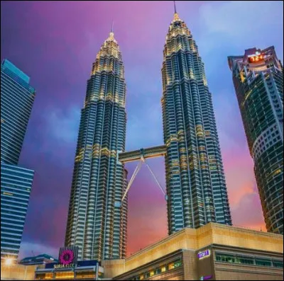 Dans quel pays sont situées les tours Petronas ?