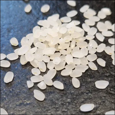 Le riz est la première céréale mondiale pour l'alimentation humaine.