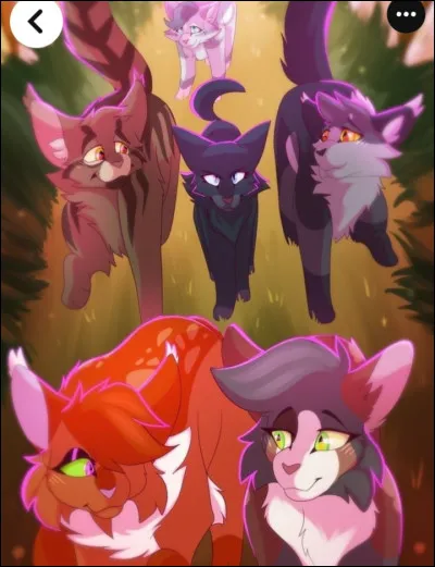 De quelle couleur est votre pelage ? (2)