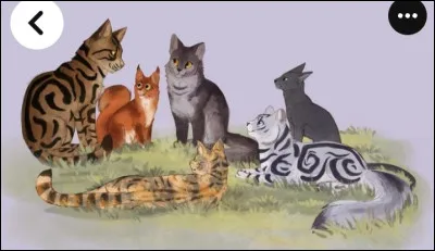 Maintenant que vous avez votre pelage, de quelle couleur sont vos yeux ?