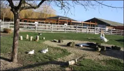 Je vous emmène à la ferme pédagogique de Dédeling. Ancienne commune Mosellane, elle se situe en région ...