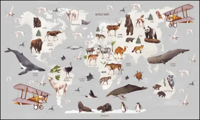 Passons au vocabulaire ! Comme pour la première question, sélectionnez les animaux écrits en anglais.
