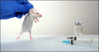 Que reproche-t-on souvent aux protocoles expérimentaux sur les animaux, en termes de transparence ?