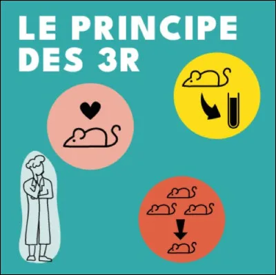 Que signifie la "règle des 3R" en matière d'expérimentation animale ?