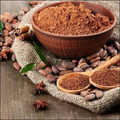 Qui a créé le chocolat en poudre ?