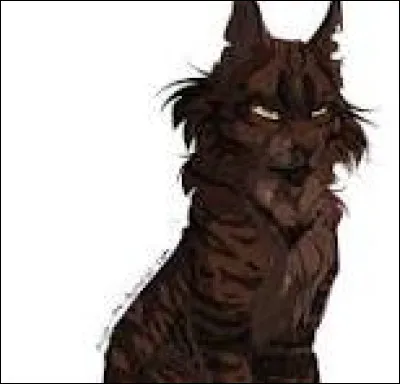 Quelle serait sa spécialité ?