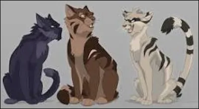 Doit-il avoir un pelage de couleur chaude ou de couleur froide, de préférence ?