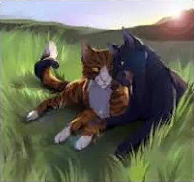 Votre couple serait-il important ?