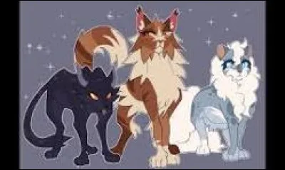 D'accord ! Et puis, dernière question, serais-tu un personnage important dans l'histoire de ''La Guerre des Clans'', selon toi ?