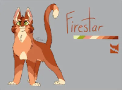 Quel mot te décrit le mieux ?