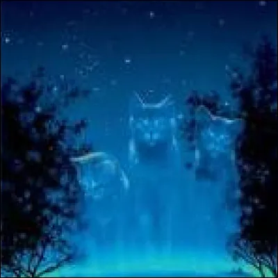 Parles-tu souvent de politique ?