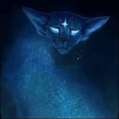 Voudrais-tu mourir avant lui ?