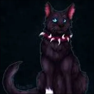 Serais-tu fâché(e) contre ton partenaire s'il formait un nouveau couple à ta mort ?