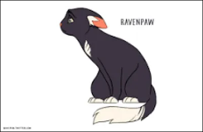 Voudrais-tu des chatons ?