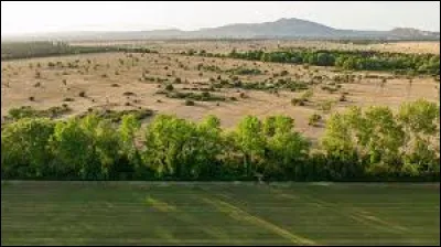 Quel est le nom de cette plaine en forme de triangle, qui s'étend dans l'ouest du département, entre le Rhône et l'étang de Berre ?