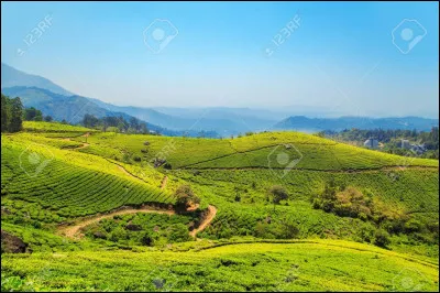 Quelle altitude atteint le sommet du puy de Dôme ?