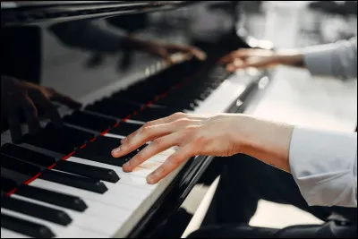 Quel est cet instrument ?