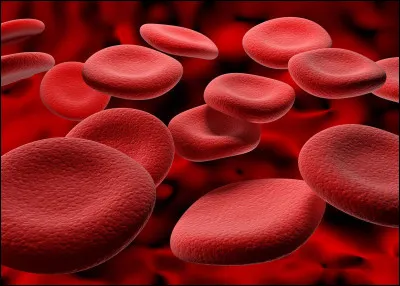 Tu vois du sang, quelle est ta première réaction ?