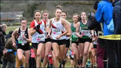 Commune Bretillienne, Saint-Marc-le-Blanc se situe en région ...