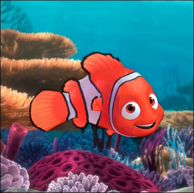 Dans "Le Monde de Nemo", qui est Marin par rapport à Nemo ?