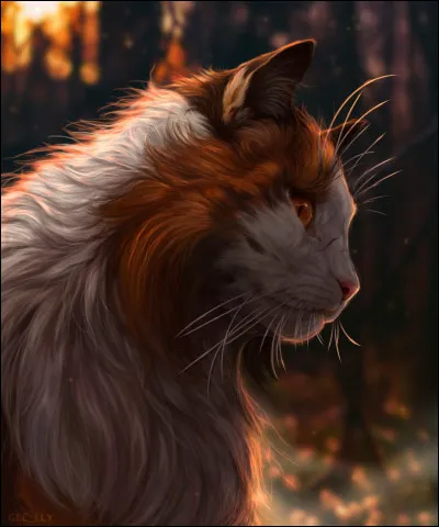 Qui rencontre-t-il en rêve, et de quel clan vient ce/cette chat/chatte ?