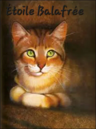 Quel est le premier nom de chaton d'Étoile Balafrée ?