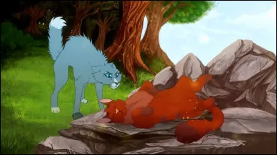 Et enfin, comment se nomme son frère (nom de guerrier) ?