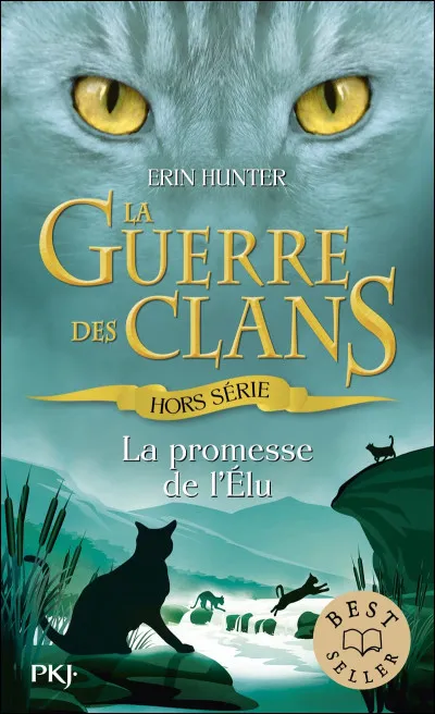 Comment le renomme-t-elle ?