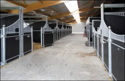 Dans quel endroit mettrais-tu ton cheval ?