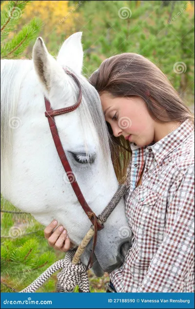 Quel est ton type de cavalier ?