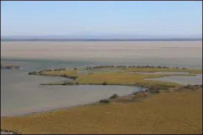 Quel est cet étang, le plus vaste de la Camargue avec ses 6 500 hectares ?