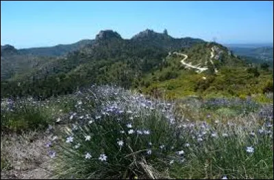 Quel est ce massif montagneux qui culmine à 779 mètres et borde au nord la ville de Marseille ?