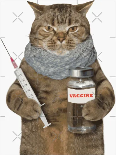 La vaccination sert à...