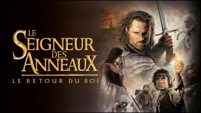 Dans ''Le Seigneur des anneaux : la Communauté de l’Anneau'', Viggo Mortensen s’est cassé deux orteils en frappant un casque lors d’une scène de bataille.