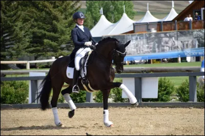 Aimerais-tu être monté ?