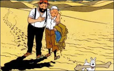 L'une des aventures de Tintin s'intitule "Le Crabe aux pinces d'argent".