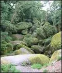 Fort, lac, eaux vives et chaos de rochers forment l'un des plus beaux sites de la Bretagne intrieure. Arboretum duPoerop et jardin de l'Argoat, une roche tremblante, etc... C'est...