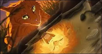 Lesquelles de ces prophéties Étoile de Feu reçoit-il directement ?