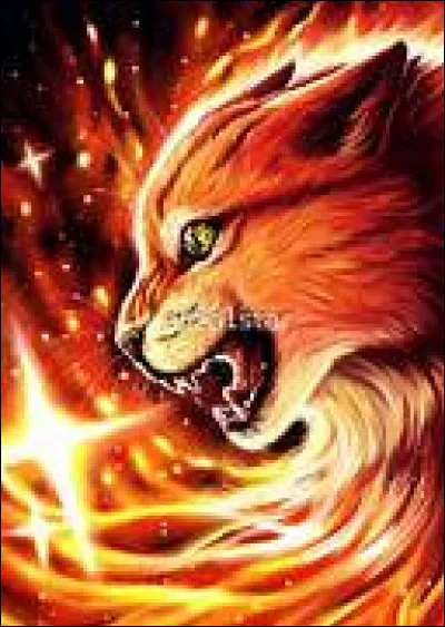 Quel coup final Étoile de Feu porte-t-il à Étoile du Tigre ?