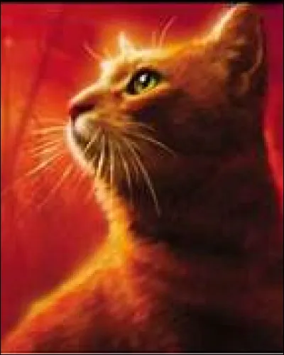 Quelle fut la dernière parole d'Étoile de Feu ?