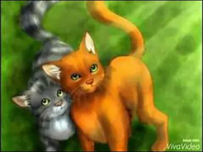 Et Étoile de Feu alors ? C'était le mentor de quels chats ?