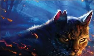 Comment Étoile du Tigre tente-t-il de tuer Étoile de Feu pour la première fois ?