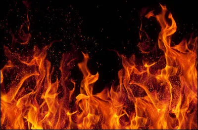 Ton style vestimentaire est plutôt :