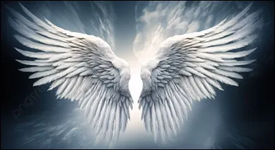 Si tu avais un pouvoir magique, tu voudrais :