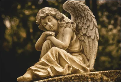 En amour, tu es plutôt :