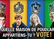 Test Quelle est ta maison de Poudlard ?