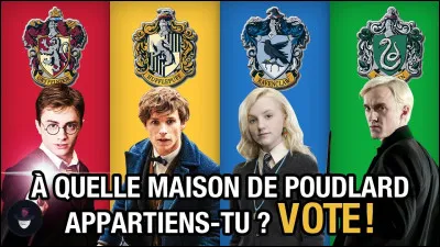 Quelle est la maison que tu choisirais ?