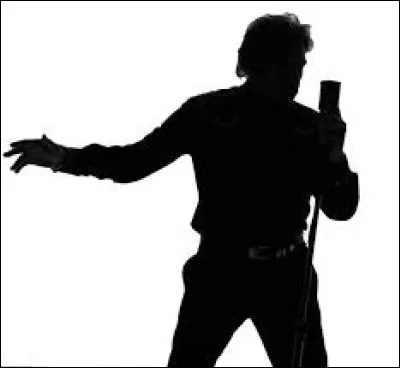 Quel chanteur est l'interpr&egrave;te du titre ''Mon anneau d'or'' ?