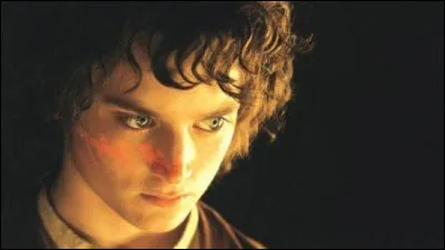 Qui est cet acteur qui a acc&eacute;d&eacute; &agrave; la c&eacute;l&eacute;brit&eacute; internationale en interpr&eacute;tant le Hobbit ''Frodon Sacquet'' dans la trilogie ''Le Seigneur des anneaux'' ?